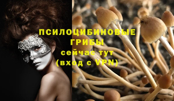 MESCALINE Нязепетровск